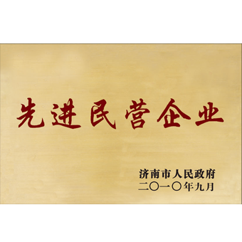 先进民营企业